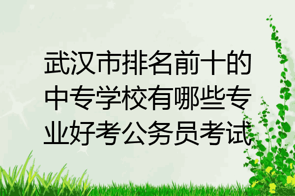 武汉市排名前十的中专学校有哪些专业好考公务员考试