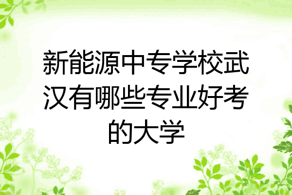 新能源中专学校武汉有哪些专业好考的大学