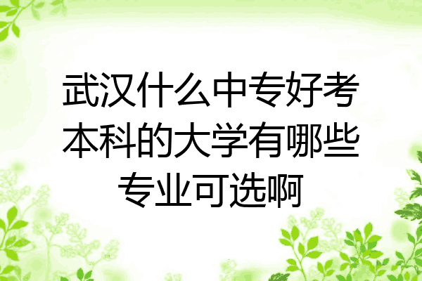 武汉什么中专好考本科的大学有哪些专业可选啊