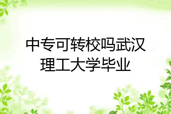 中专可转校吗武汉理工大学毕业