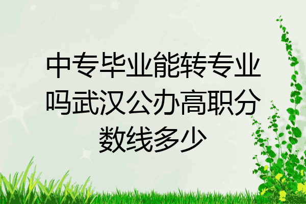中专毕业能转专业吗武汉公办高职分数线多少