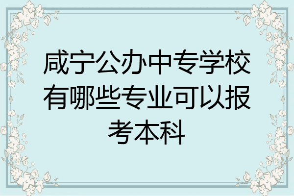 咸宁公办中专学校有哪些专业可以报考本科