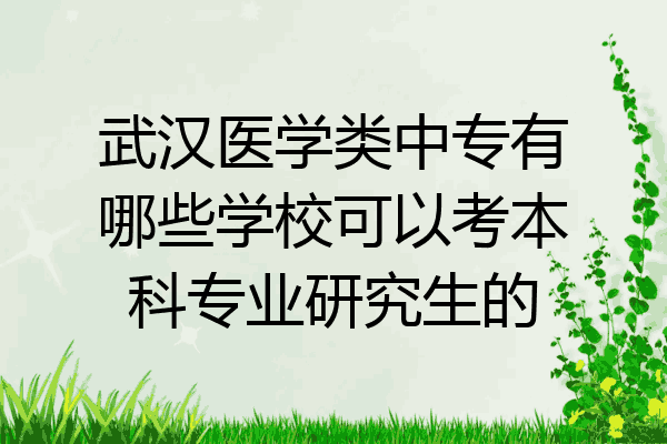武汉医学类中专有哪些学校可以考本科专业研究生的