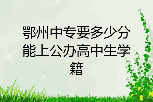 鄂州中专要多少分能上公办高中生学籍