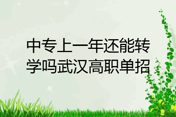 中专上一年还能转学吗武汉高职单招