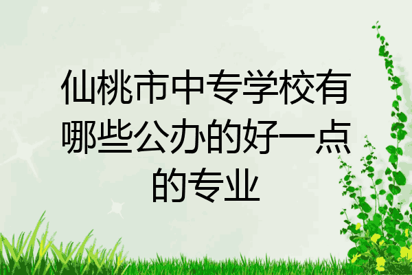 仙桃市中专学校有哪些公办的好一点的专业