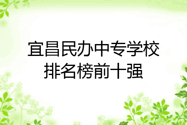 宜昌民办中专学校排名榜前十强