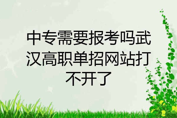 中专需要报考吗武汉高职单招网站打不开了