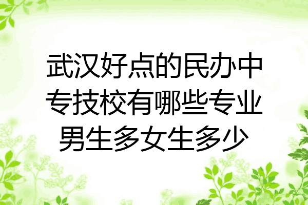 武汉好点的民办中专技校有哪些专业男生多女生多少