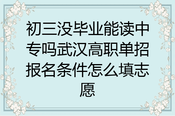 初三没毕业能读中专吗武汉高职单招报名条件怎么填志愿