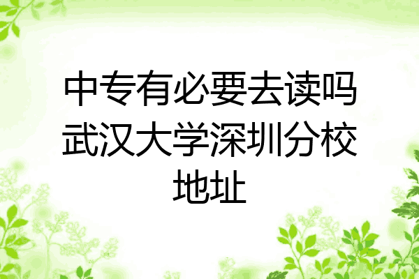 中专有必要去读吗武汉大学深圳分校地址