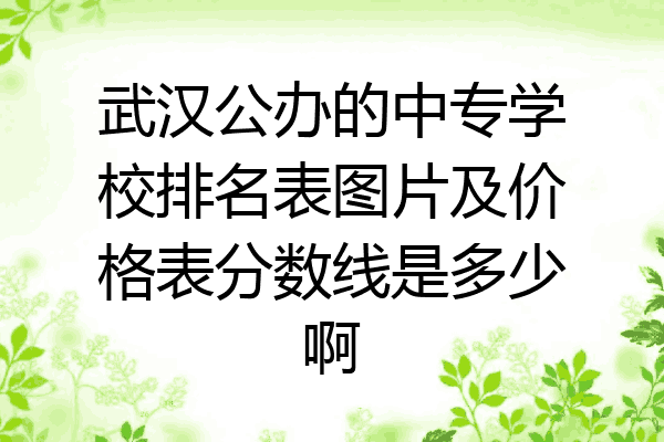 武汉公办的中专学校排名表图片及价格表分数线是多少啊