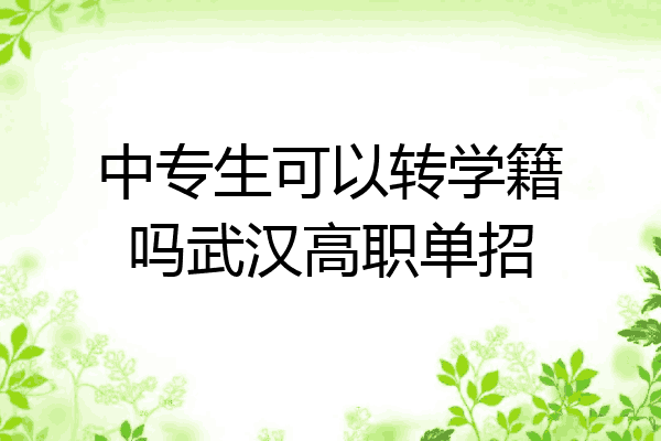 中专生可以转学籍吗武汉高职单招