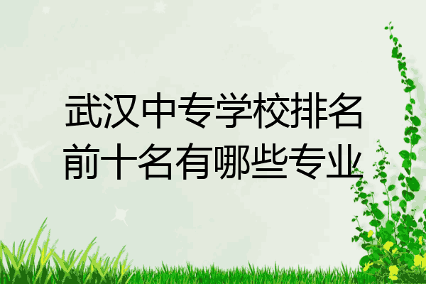 武汉中专学校排名前十名有哪些专业