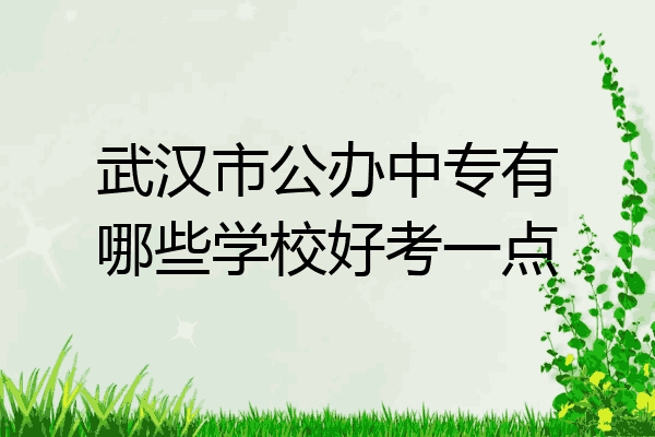 武汉市公办中专有哪些学校好考一点