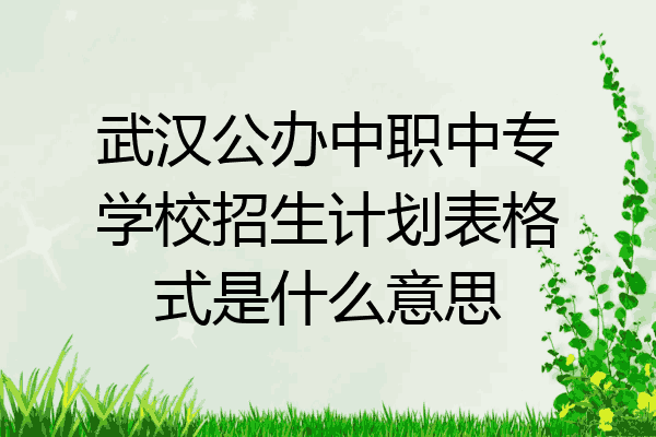 武汉公办中职中专学校招生计划表格式是什么意思