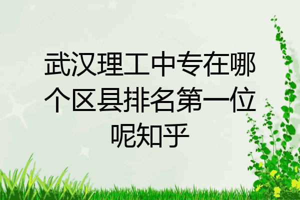 武汉理工中专在哪个区县排名第一位呢知乎
