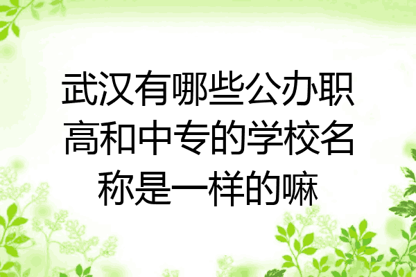 武汉有哪些公办职高和中专的学校名称是一样的嘛
