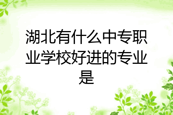 湖北有什么中专职业学校好进的专业是