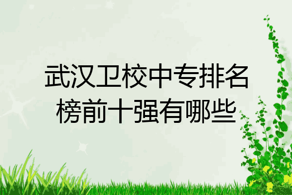 武汉卫校中专排名榜前十强有哪些