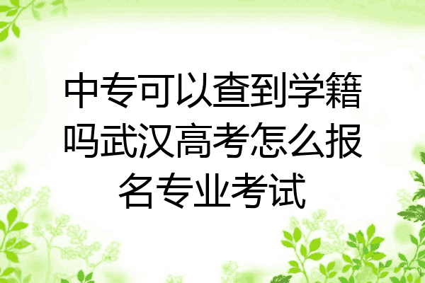 中专可以查到学籍吗武汉高考怎么报名专业考试