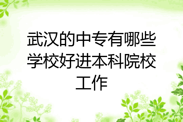 武汉的中专有哪些学校好进本科院校工作