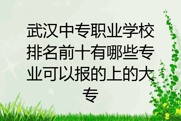 武汉中专职业学校排名前十有哪些专业可以报的上的大专
