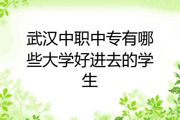 武汉中职中专有哪些大学好进去的学生