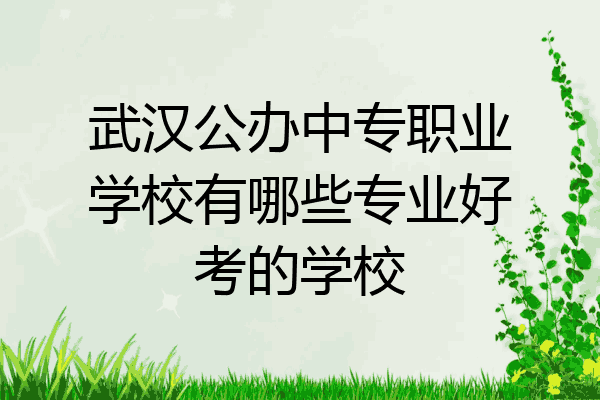 武汉公办中专职业学校有哪些专业好考的学校