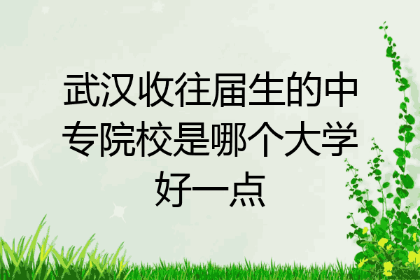 武汉收往届生的中专院校是哪个大学好一点