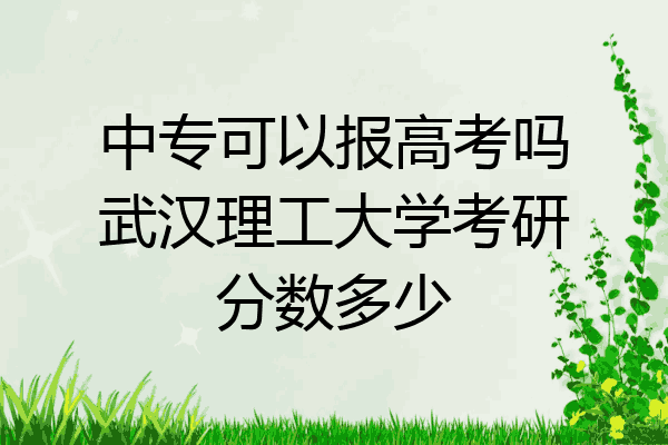 中专可以报高考吗武汉理工大学考研分数多少