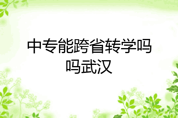 中专能跨省转学吗吗武汉