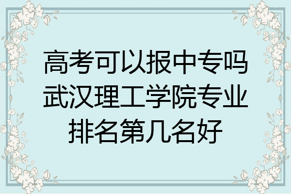 高考可以报中专吗武汉理工学院专业排名第几名好