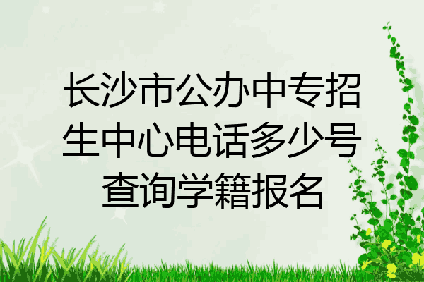 长沙市公办中专招生中心电话多少号查询学籍报名