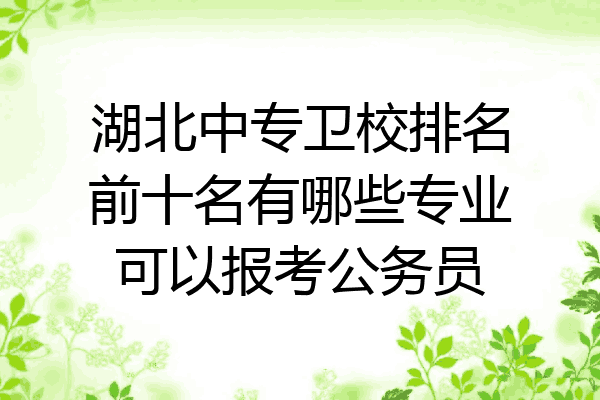 湖北中专卫校排名前十名有哪些专业可以报考公务员