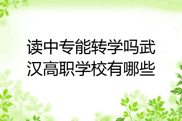 读中专能转学吗武汉高职学校有哪些