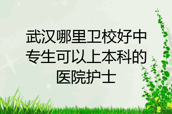武汉哪里卫校好中专生可以上本科的医院护士