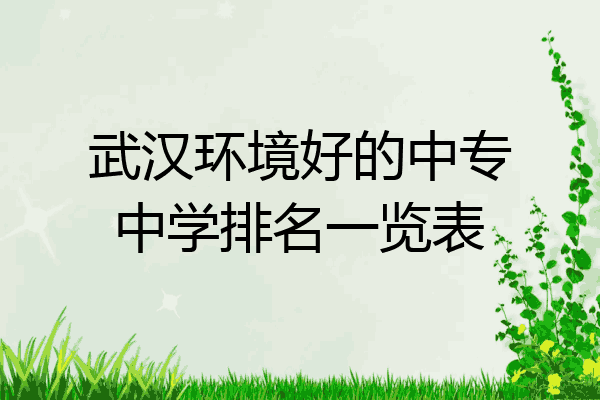 武汉环境好的中专中学排名一览表