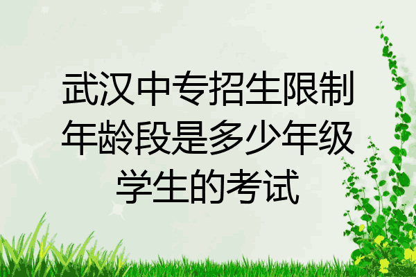武汉中专招生限制年龄段是多少年级学生的考试