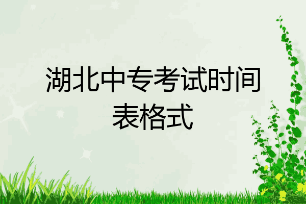 湖北中专考试时间表格式