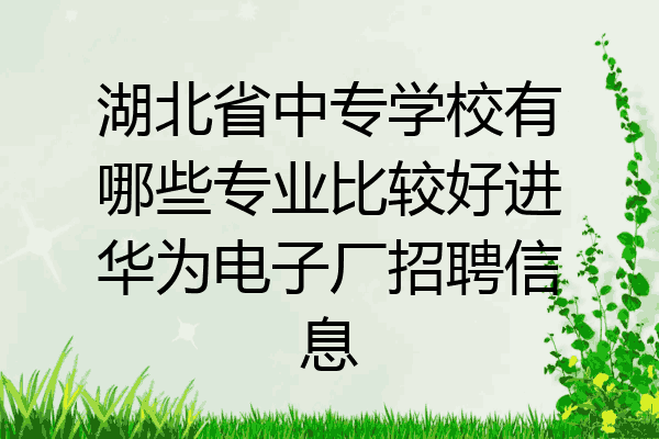 湖北省中专学校有哪些专业比较好进华为电子厂招聘信息