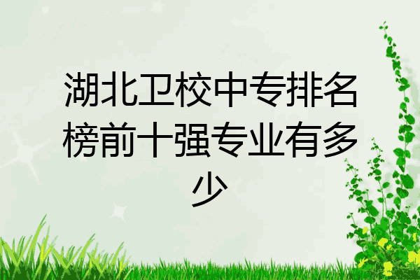 湖北卫校中专排名榜前十强专业有多少