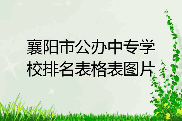 襄阳市公办中专学校排名表格表图片