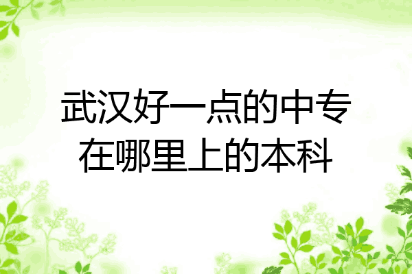 武汉好一点的中专在哪里上的本科