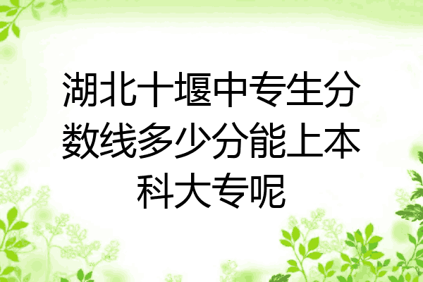 湖北十堰中专生分数线多少分能上本科大专呢