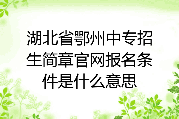 湖北省鄂州中专招生简章官网报名条件是什么意思