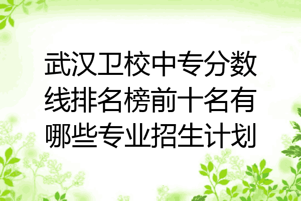 武汉卫校中专分数线排名榜前十名有哪些专业招生计划