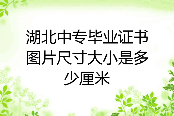 湖北中专毕业证书图片尺寸大小是多少厘米