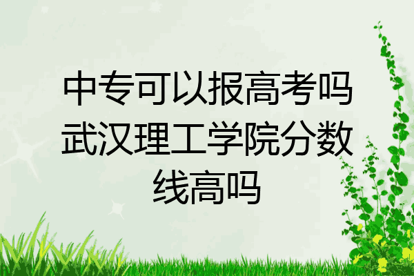 中专可以报高考吗武汉理工学院分数线高吗