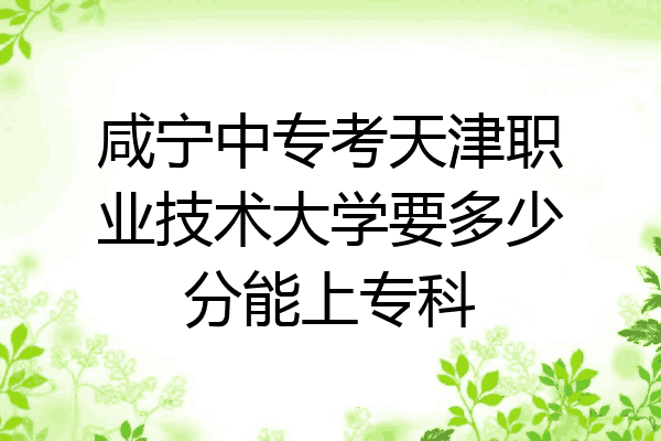 咸宁中专考天津职业技术大学要多少分能上专科